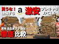 【レビュー】装備初心者が買いがちな激安プレートキャリア　何がダメなのか解説します
