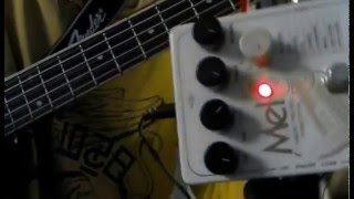 Electro Harmonix Mel9 And Acoustic B.