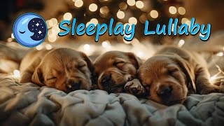 Sleep Music for Babies Development🧠  Brahms Lullaby 💤 Lullaby For Babies Intelligence Stimulation 🧠