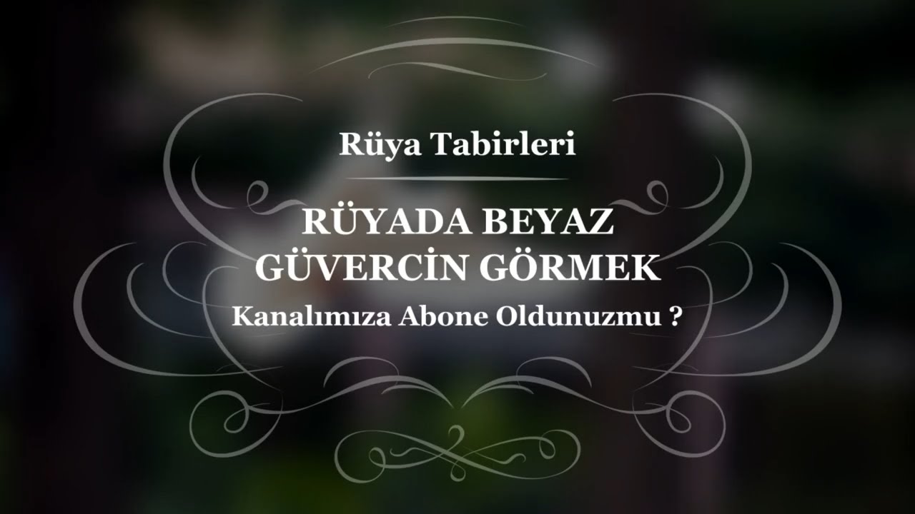 ruyada beyaz guvercin gormek almak avlanmak beslemek ruya tabiri ruya yorum ruya yorumu