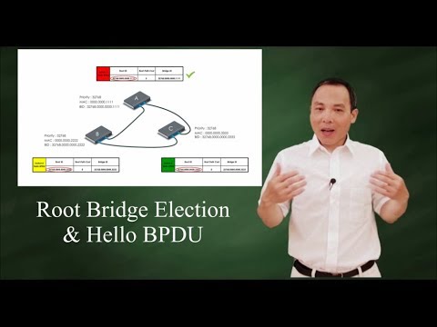 Video: Hvad er root ID og bridge ID?