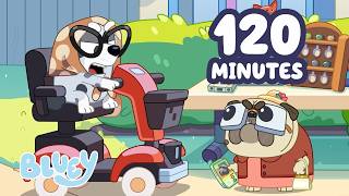 🔴LIVE: Grouchy Granny Saves The Day 😂 🛵 | Funniest Bluey FULL EPISODES! | Bluey