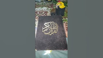 قران كريم رائج وما النصر الا من عند الله ♥