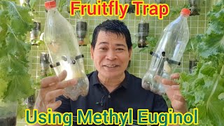 PAANO GUMAWA NG VERY EFFECTIVE NA FRUIT FLY TRAP