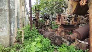 VISITANDO A USINA ABANDONADA BOCA DA MATA DO MUNICÍPIO DE PIRPIRITUBA PB