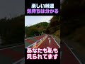 ドラレコは交通違反の抑止効果があります #shorts