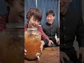 ドデカジャイアントカプリコうま釈迦カクテルを生徒会長金子と！！ #ドデカ #うま釈迦 #生徒会長金子 thumbnail