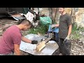     Wood Splitter Crew at Work | Powerful Stump Removal and Dangerous Logging Operations