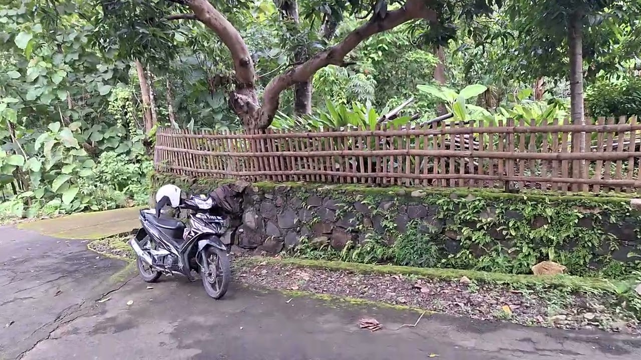 ❌️TERJUAL Tanah pekarangan posisi Hook. SHM uas 1500m LD 50m hrg 150jt.Akses jalan aspal Desa.