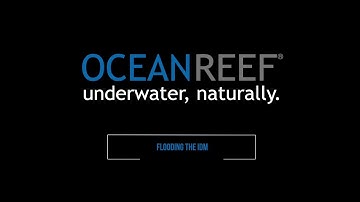 OCEAN REEF - Official IDM Training - Flooding The IDM