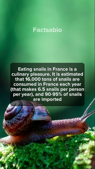 how-many-snails-does-a-french-person-eats-a-year-facts-shorts-snail