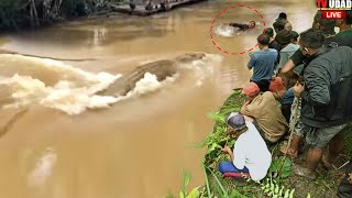 Rekaman Video Detik² Pria Pencari Ikan Disambar Buaya di Sungai !! Awalnya Warga Tak Berani...