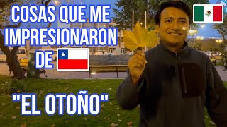 el OTOÑO chileno | Choque Cultural Parte 3