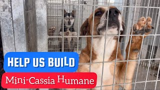 Help us build a Mini-Cassia Humane
