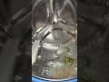 Ocean water in a GE profile front load washer!