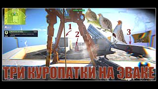 картинка: ТРИ КУРОПАТКИ НА ЭВАКЕ #dmz
