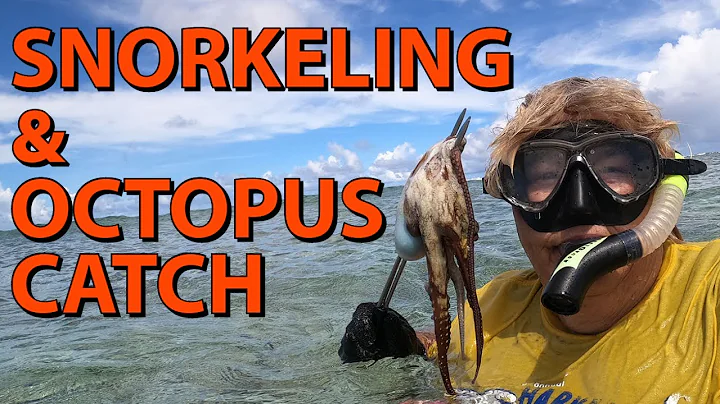 Guam Snorkeling & Octopus Catch at Ritidian