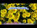 "Lonely Traveler" "No. 108" "Md. Naimul Islam | AI Studio" "Song" "English Song" "Music" "AI Song"