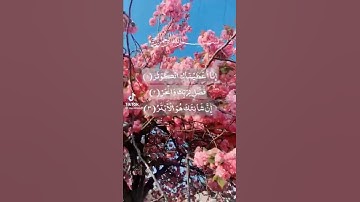 سورة الكوثر  تلاوة قرآن كريم بصوت جميل جداً ,،🎧#سورة الكوثر#