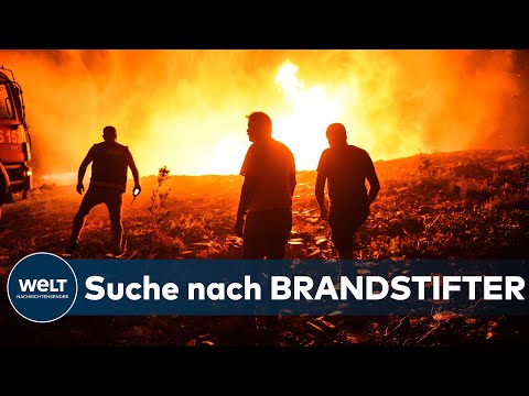 Video: Wie Man Hilfsmaßnahmen Für Die Waldbrände An Der Westküste Unterstützt