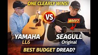 Yamaha vs Seagull โ I Didnโt Expect Thisโฆ