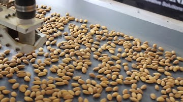 Almond Inspection using Hyperspectral Imaging Sensors