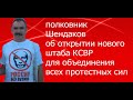 Полковник Шендаков об открытии нового штаба КСВР для объединения оппозиции