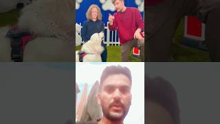 #puppy #pets #trending #challenge #mrbeast #viralvideo #shorts #crazychallenge