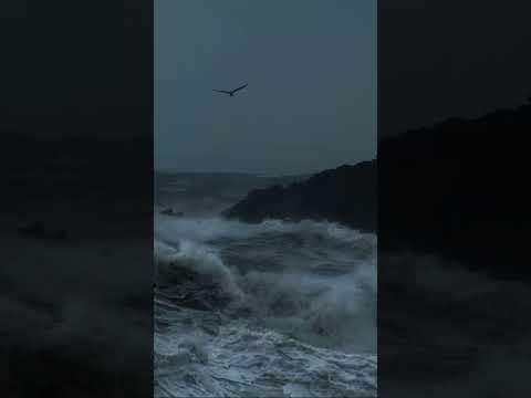 House Of Salt And Sorrows Bookrecommendations Booktubetbr Books