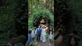 Our wedding in the Redwood forest in NoCal