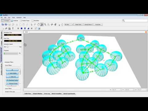 Wireless network simulation