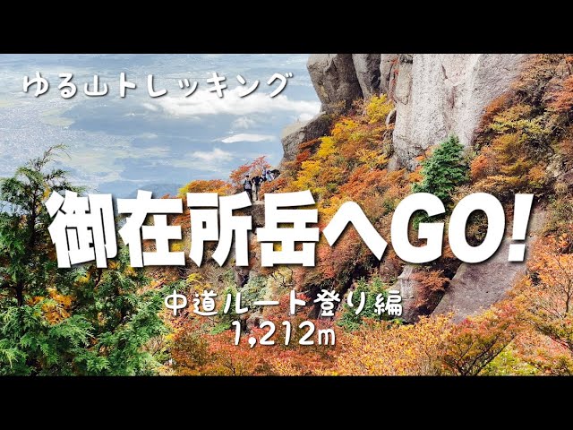Tomo CHANNEL - YouTube