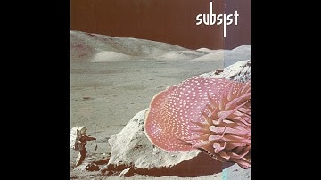 Translate - Raster  (The Encodex)  / SUBSIST.75D