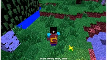 Minecraft Mod Review:ShapeShifterZ