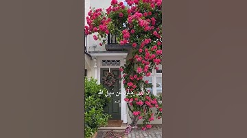 #سورة_ص#سعود_الشريم
