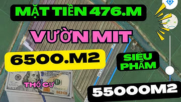 Ms192 Bán Vườn Mít Ruột Đỏ .Thạnh Lợi Đồng Tháp Mặt Tiền Khủng Khiếp Giá 300tr C