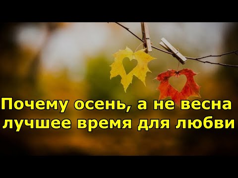 Роман со сроком годности: почему осень, а не весна — лучшее время для любви