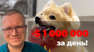 Потерял $1 000 000 на SHIBA! Или как НЕ СЛИТЬ ДЕНЬГИ на КРИПТОВАЛЮТЕ?!