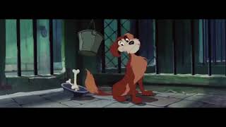 Jungle Rhythm Thewildanimal13 Version