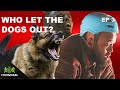 DARKEST MAN ATTACKED BY DOG | Who Let The Dogs Out? | Ep 3