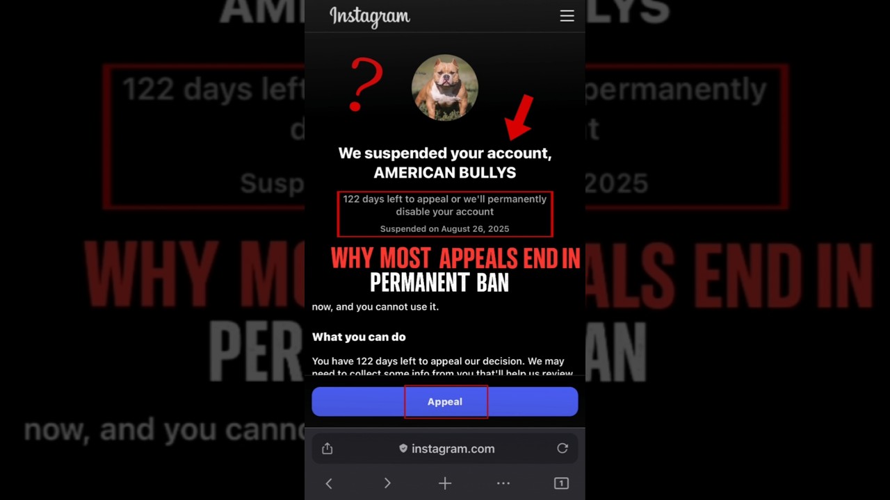 INSTAGRAM ACCOUNT SUSPENDEDPROBLEM 2025 