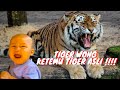 KIANO TIGER WONG KETEMU TIGER ASLI !!! KIANO PEMBERANI !!!