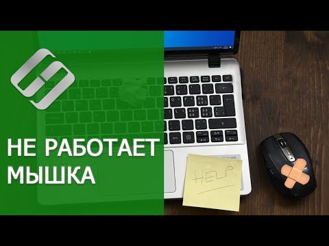 Не работает 🖱️ мышка на компьютере или 💻 ноутбуке  с Windows 10, 8 и 7