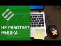 Не работает 🖱️ мышка на компьютере или 💻 ноутбуке с Windows 10, 8 и 7