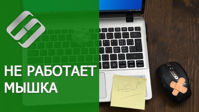 Что делать, если на ноутбуке не работает мышка - Читайте в блоге MobilePlanet Что делать, если ноутбук не видит беспроводную мышь?