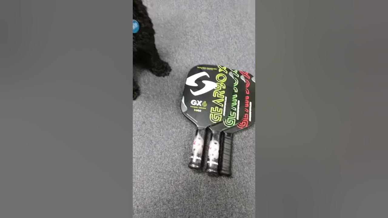 Gearbox GX6 CONTROL and GX6 POWER Pickleball Paddles YouTube