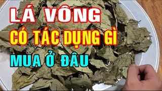 Lá vông - Lá vông có tác dụng gì - Lá vông chữa mất ngủ
