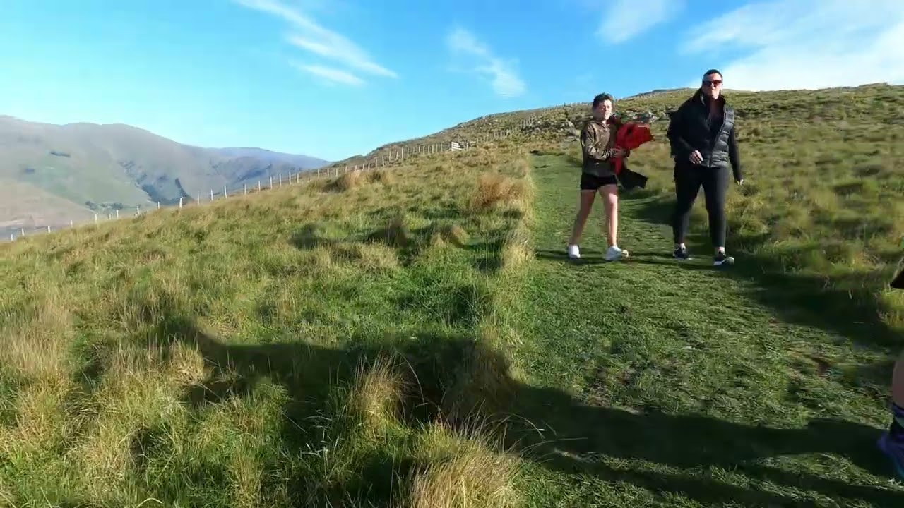 Exploring Godley Head Farm Park 🐑 Close Encounter with Dozens of Friendly Sheep!