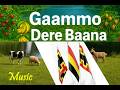 ጋሞ ደረ ባና I Gaammo Dere Baana I ጋሞኛ ሙዚቃ I New Gamo People Music I 2025