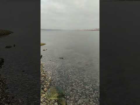 Мертвое озеро